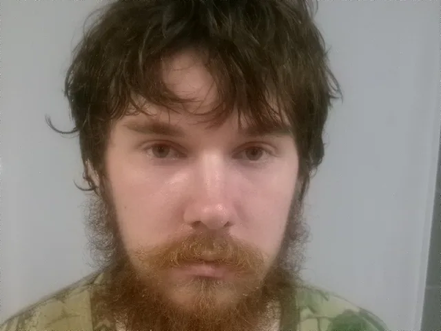 Barbour man allegedly stabs father with pickax